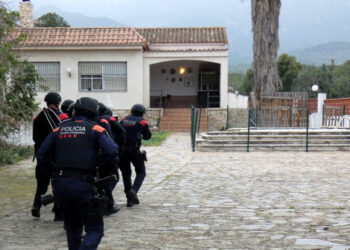 Els Mossos localitzen i desmantellen una plantació de marihuana amagada en un habitatge d’Alcanar Platja