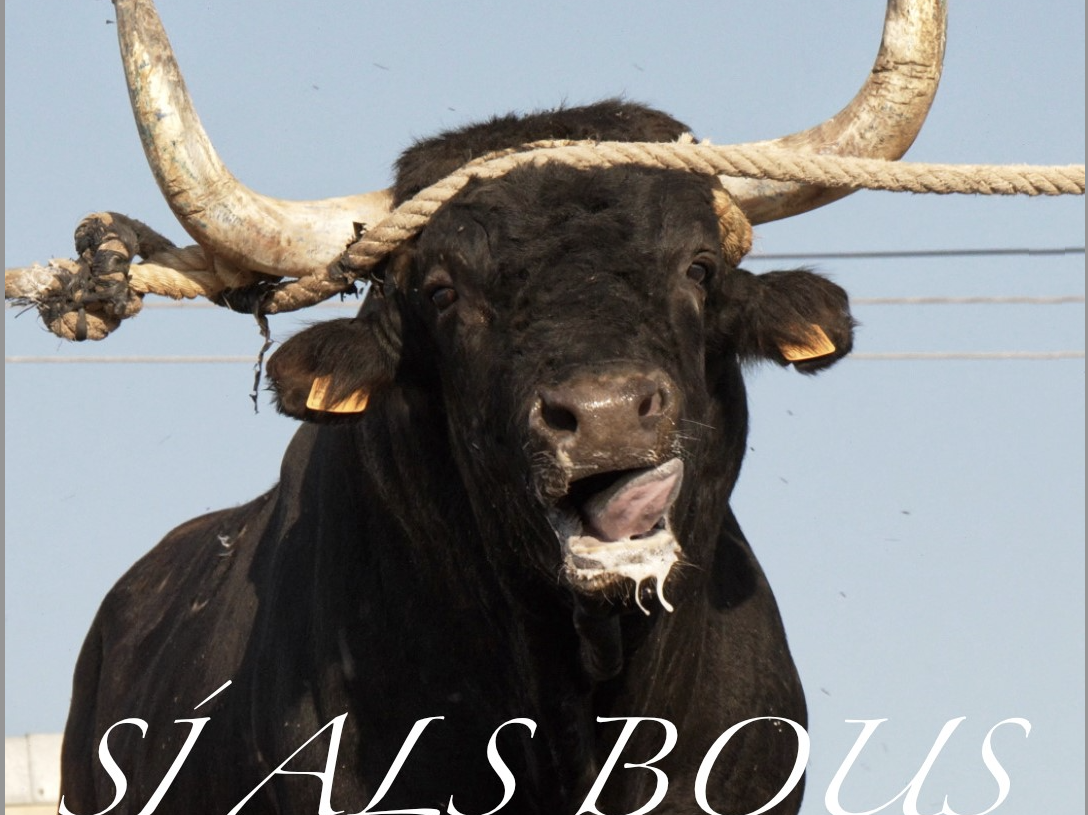 ‘Sí als bous, no a la violència’, per Brian Cutts