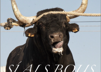 ‘Sí als bous, no a la violència’, per Brian Cutts