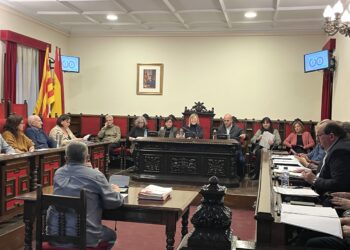 Unitat al ple de Tortosa per a la construcció del futur hospital a la ciutat