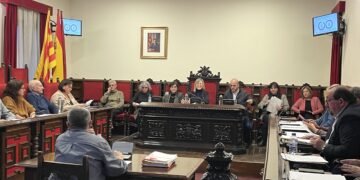 Unitat al ple de Tortosa per a la construcció del futur hospital a la ciutat