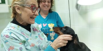 Els veterinaris ebrencs protesten en contra del nou decret que regula l’activitat, amb més burocràcia i restriccions