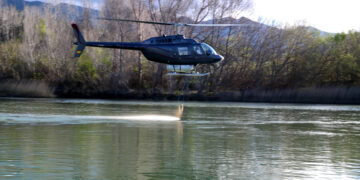 Comença el primer dels sis tractaments contra la mosca negra l’Ebre