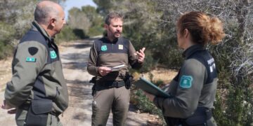 La processionària s’apropa a la costa de l’Ebre per les temperatures suaus