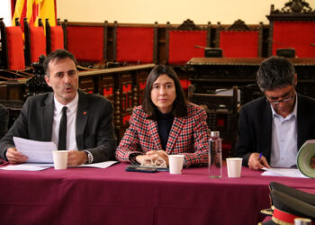 Els fets delictius es redueixen ‘tímidament’ a Tortosa en el darrer any