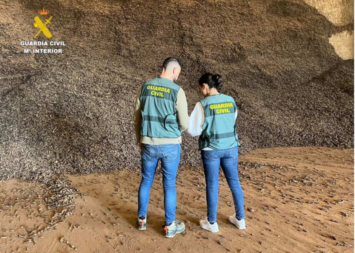 Tretze investigats per vendre 74 tones de garrofes robades a Castelló en un magatzem de Tortosa