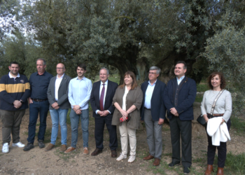 Ministre Hereu: ‘Les oliveres mil·lenàries d’Ulldecona són úniques al món’