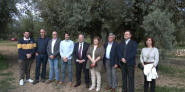 Ministre Hereu: ‘Les oliveres mil·lenàries d’Ulldecona són úniques al món’