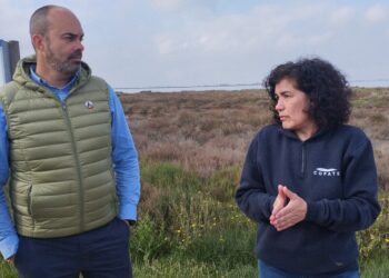 Els tractaments contra el mosquit al Delta s’avancen gairebé un mes perquè les llevantades de març disparen les larves