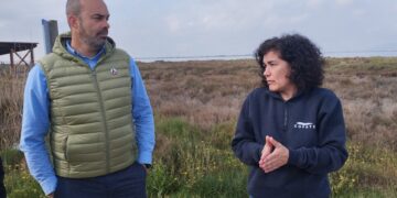 Els tractaments contra el mosquit al Delta s’avancen gairebé un mes perquè les llevantades de març disparen les larves