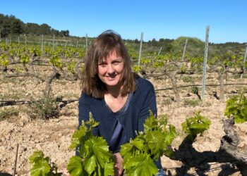 La bateana Rosa Caballé assumeix la presidència de la DO Terra Alta després de la dimissió de Pere Bové