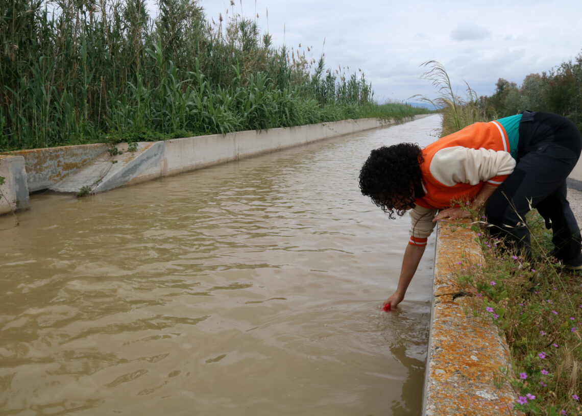 La crescuda controlada de l’Ebre multiplica puntualment per 20 els sediments transportats per la xarxa de reg del Delta