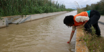 La crescuda controlada de l’Ebre multiplica puntualment per 20 els sediments transportats per la xarxa de reg del Delta
