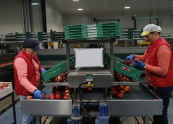 Divisió entre sindicats i empresaris de les Terres de l’Ebre per la possible reducció de jornada laboral a 37,5 hores