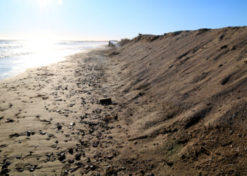 La Taula de Consens celebra la unificació dels plans de protecció del Delta, però reclama ‘projectes i pressupostos’