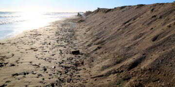 La Taula de Consens celebra la unificació dels plans de protecció del Delta, però reclama ‘projectes i pressupostos’