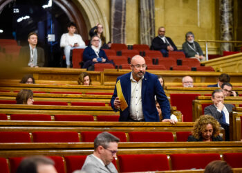 Esquerra demana que el govern espanyol assumeixi com a pròpia l’Estratègia Delta