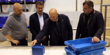 Aliança entre pescadors i arrossaires ebrencs per introduir caixes de peix fabricades amb clofolla d’arròs