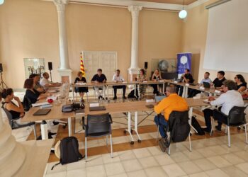 El Govern aprova una declaració de suport a la proposta d’instal·lar una gigafactoria d’IA a Móra la Nova