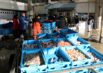 La Unió Europea imposa l’ampliació de la xarxa per a la pesca d’arrossegament