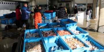 La Unió Europea imposa l’ampliació de la xarxa per a la pesca d’arrossegament