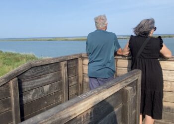 L’Ajuntament de Deltebre i propietaris presenten al·legacions exigint l’arxivament del projecte d’atermenament