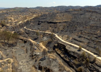 Rebrotem veu semblances en la resposta dels focs de Paüls i la Ribera d’Ebre