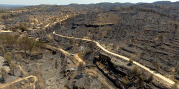 Rebrotem veu semblances en la resposta dels focs de Paüls i la Ribera d’Ebre