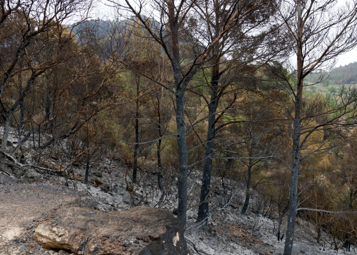 Els Bombers consoliden l’estabilització del foc i aixequen el confinament de Paüls