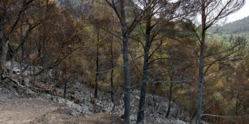 Els Bombers consoliden l’estabilització del foc i aixequen el confinament de Paüls