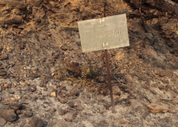 Controlat l’incendi de Paüls, que ha afectat 3.321 hectàrees