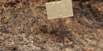 Controlat l’incendi de Paüls, que ha afectat 3.321 hectàrees