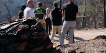Les actuacions a la zona cremada de l’incendi de Paüls començaran a la tardor