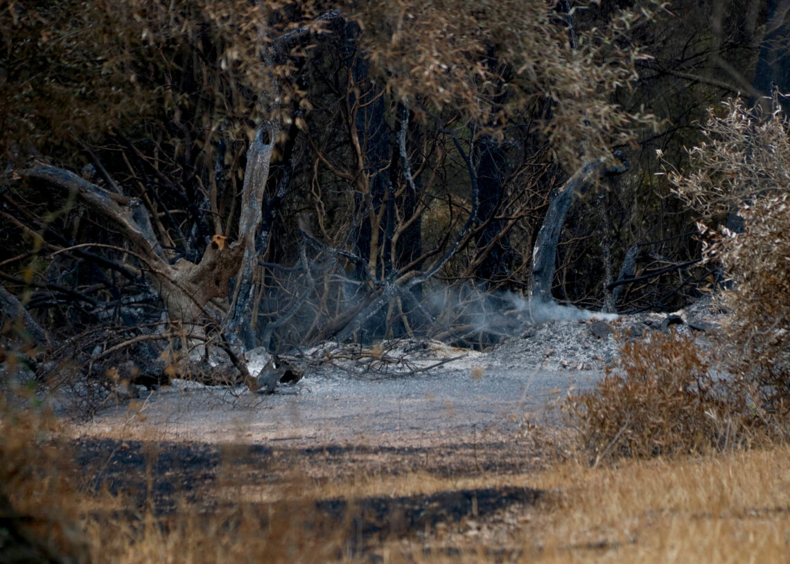 El Govern decreta un dia de dol oficial per la mort del bomber a l’incendi de Paüls