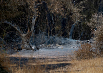 El Govern decreta un dia de dol oficial per la mort del bomber a l’incendi de Paüls