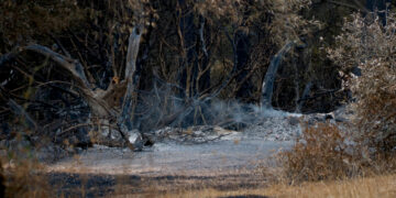 El Govern decreta un dia de dol oficial per la mort del bomber a l’incendi de Paüls