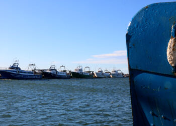 Neguit entre els pescadors de la Ràpita: a l’octubre es podrien quedar sense dies per sortir a la mar