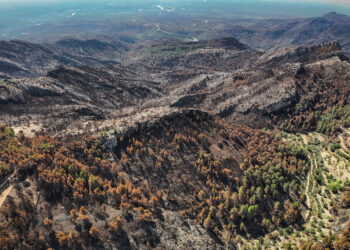 El govern espanyol garanteix ajudes per als afectats de l’incendi de Paüls