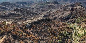 El govern espanyol garanteix ajudes per als afectats de l’incendi de Paüls