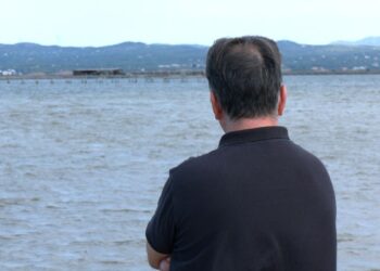 La calor intensa en superfície i al mar podria haver matat el 80% de la cria de musclo al Delta