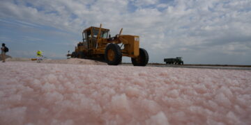 Infosa preveu una collita de 85.000 tones de sal, limitada per les pluges de la tardor