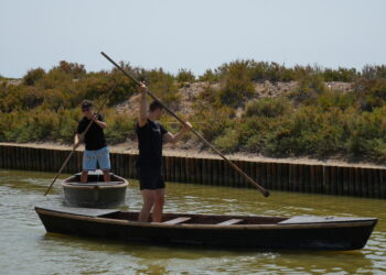 Optimisme entre el sector turístic per l’alta ocupació al Delta de l’Ebre i la Terra Alta aquest agost
