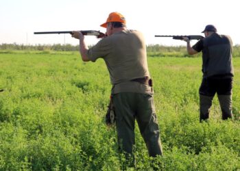 Tot a punt per una nova mitja veda de caça a les Terres de l’Ebre