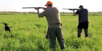 Tot a punt per una nova mitja veda de caça a les Terres de l’Ebre