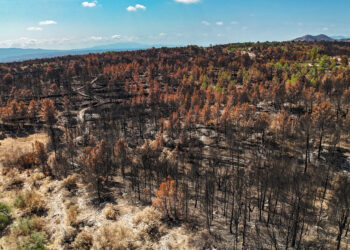 Investiguen una persona que podria haver causat l’incendi a Paüls per l’abocament de cendres en zona agrícola