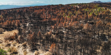 Investiguen una persona que podria haver causat l’incendi a Paüls per l’abocament de cendres en zona agrícola