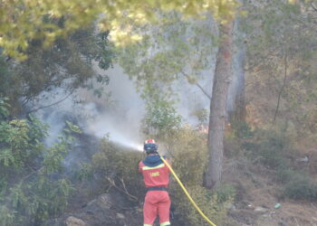 Matemàtiques recreatives dominicals (101)