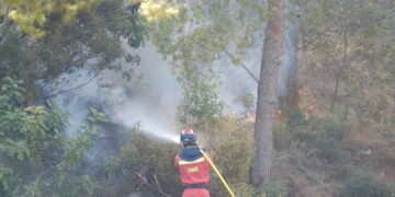 Matemàtiques recreatives dominicals (101)