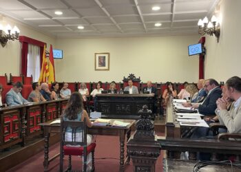 El ple de Tortosa aprova destinar 700.000 euros a la compra dels terrenys del futur hospital a Sant Llàtzer