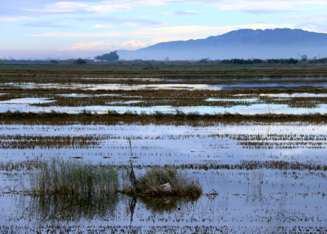 El govern espanyol atura el projecte d’atermenament al delta de l’Ebre